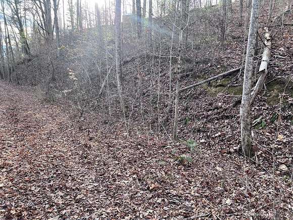 0.5 Acres of Residential Land for Sale in Sevierville, Tennessee