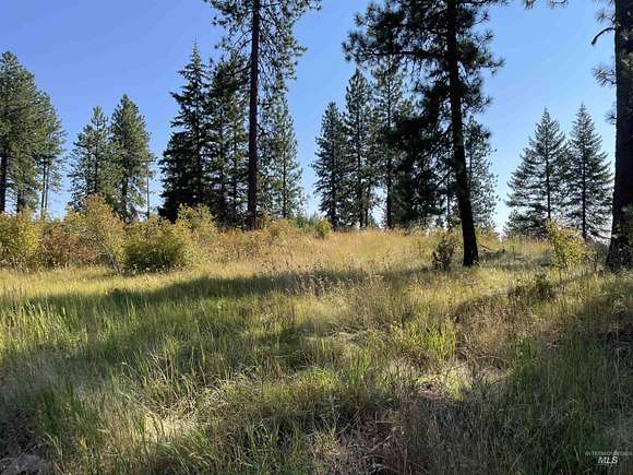 28.7 Acres of Land for Sale in Orofino, Idaho