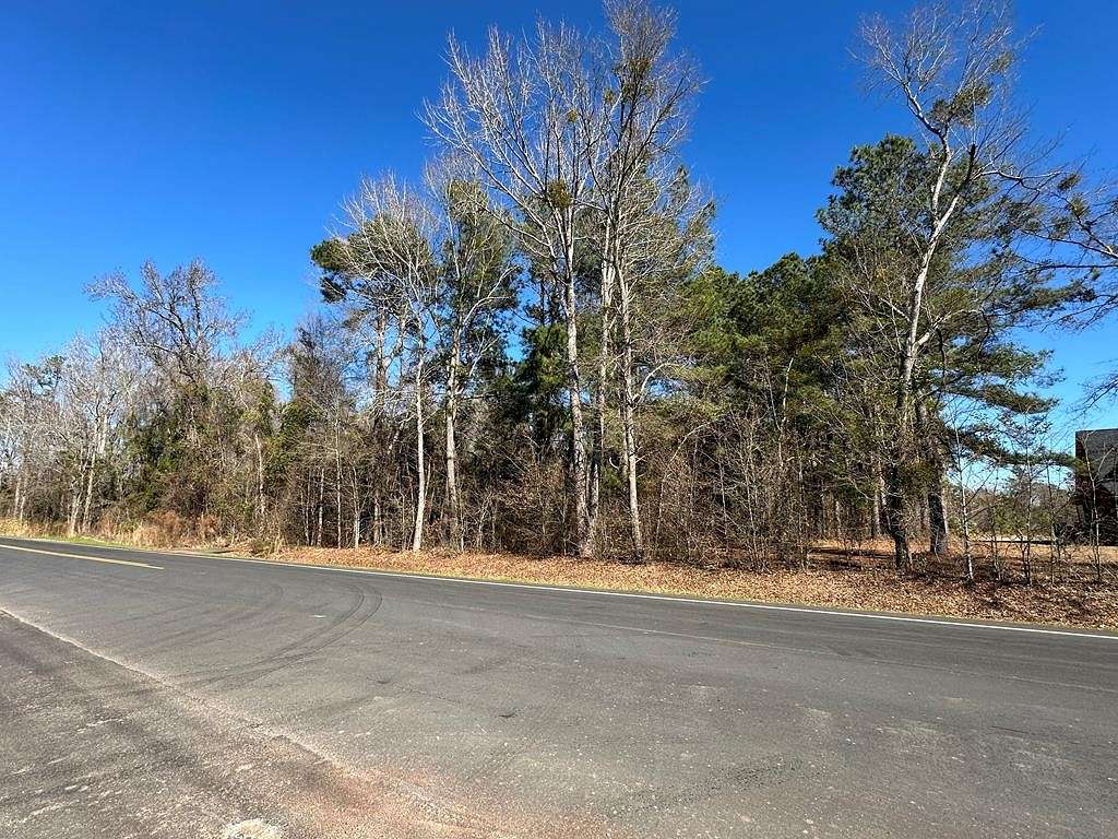 3.2 Acres of Residential Land for Sale in Manning, South Carolina