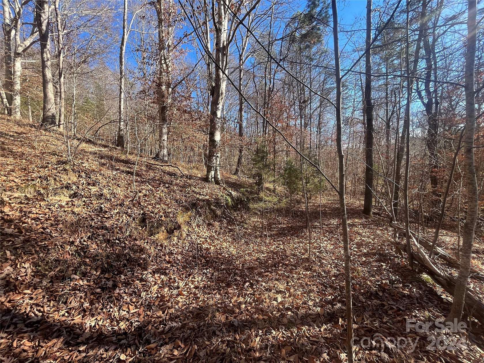 1.8 Acres of Land for Sale in Rutherfordton, North Carolina