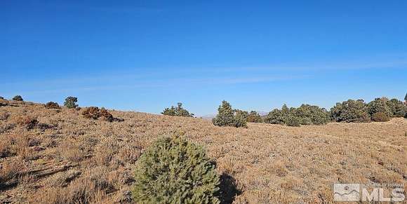 10.7 Acres of Agricultural Land for Sale in Reno, Nevada