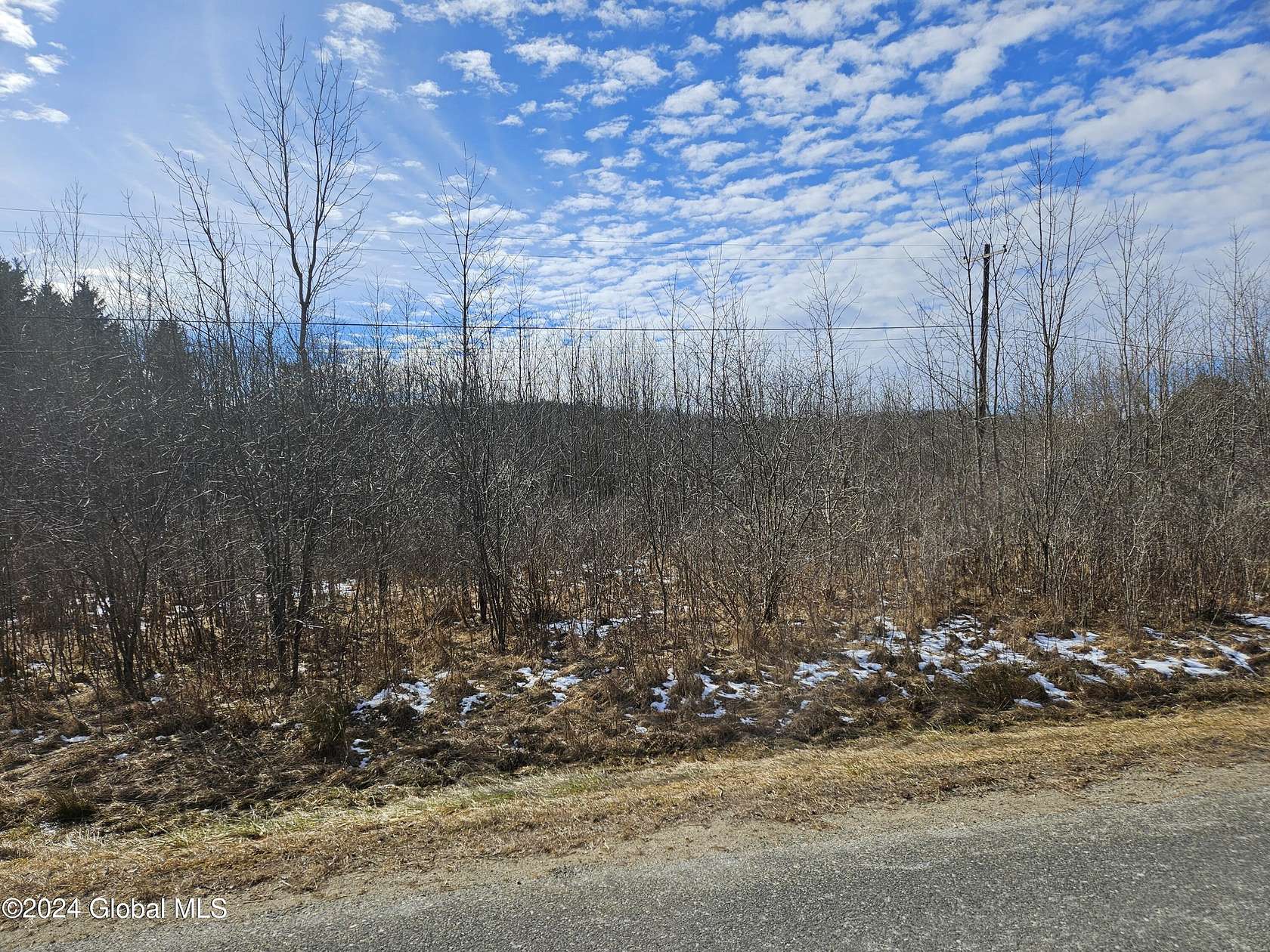 23 Acres of Land for Sale in Charlton, New York