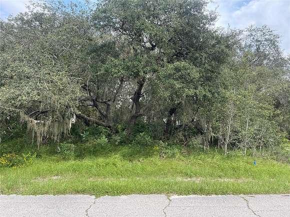 0.16 Acres of Residential Land for Sale in Poinciana, Florida