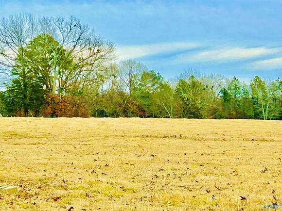 47 Acres of Agricultural Land for Sale in Danville, Alabama