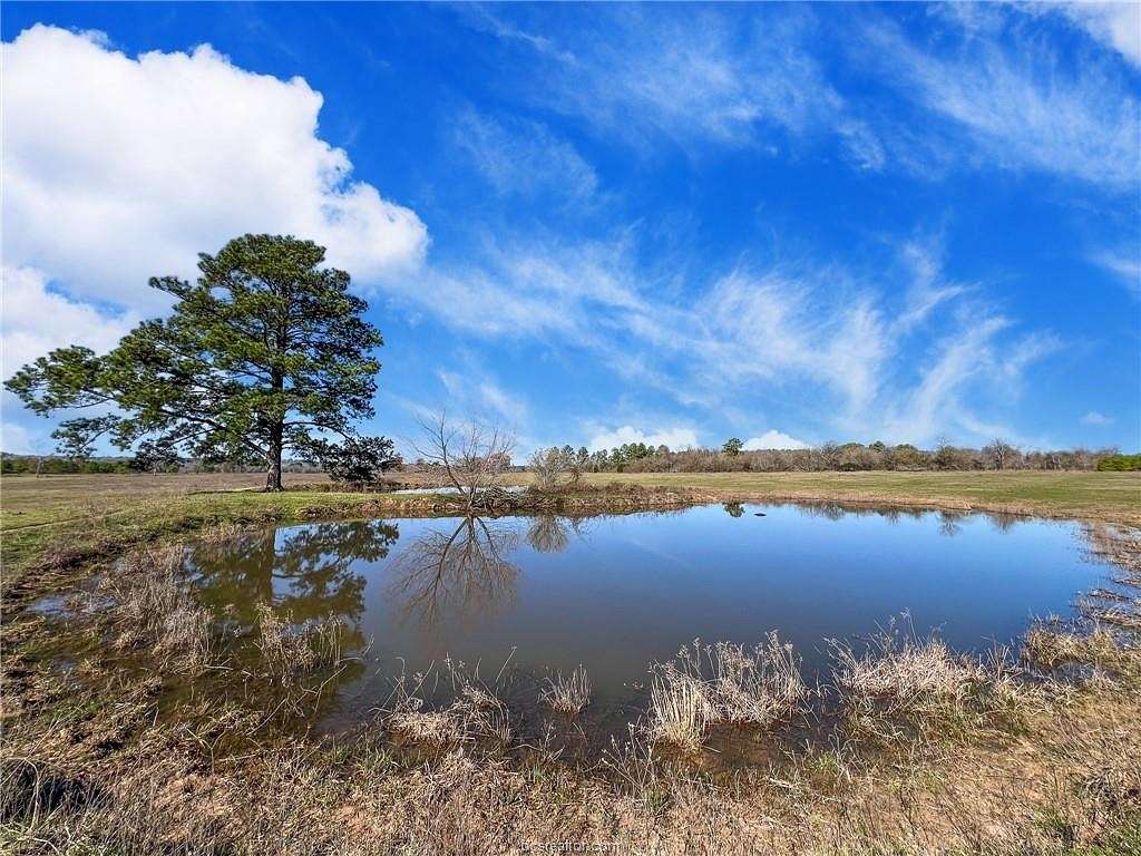 20 Acres of Agricultural Land for Sale in Richards, Texas