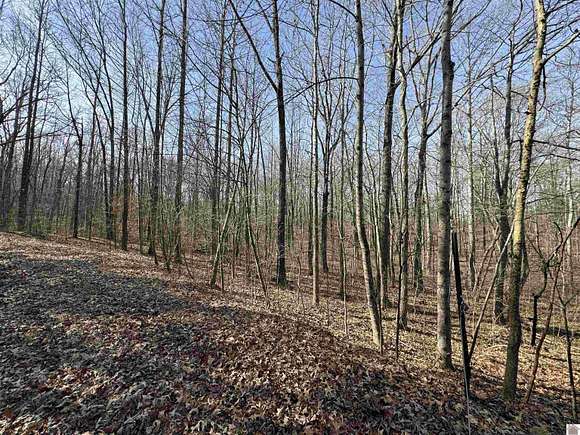 15 Acres of Recreational Land for Sale in Murray, Kentucky