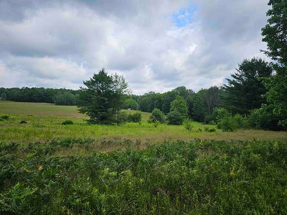 40 Acres of Recreational Land for Sale in Berkshire, New York