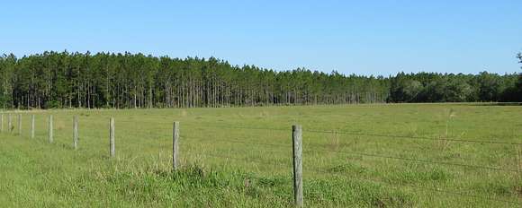 3,707 Acres of Recreational Land & Farm for Sale in Tennille, Florida