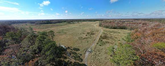 4,784 Acres of Recreational Land & Farm for Sale in Tennille, Florida