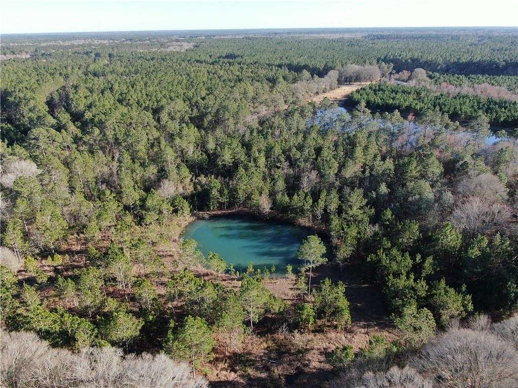 11.2 Acres of Recreational Land for Sale in Nicholls, Georgia