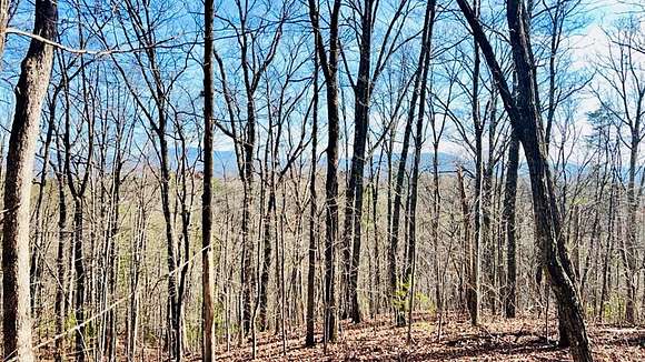 1.02 Acres of Residential Land for Sale in Sevierville, Tennessee