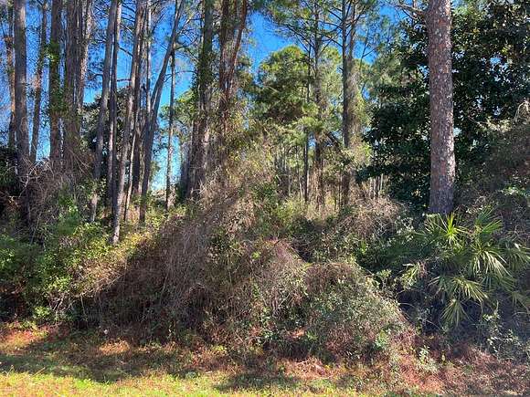 2.14 Acres of Residential Land for Sale in Eastpoint, Florida