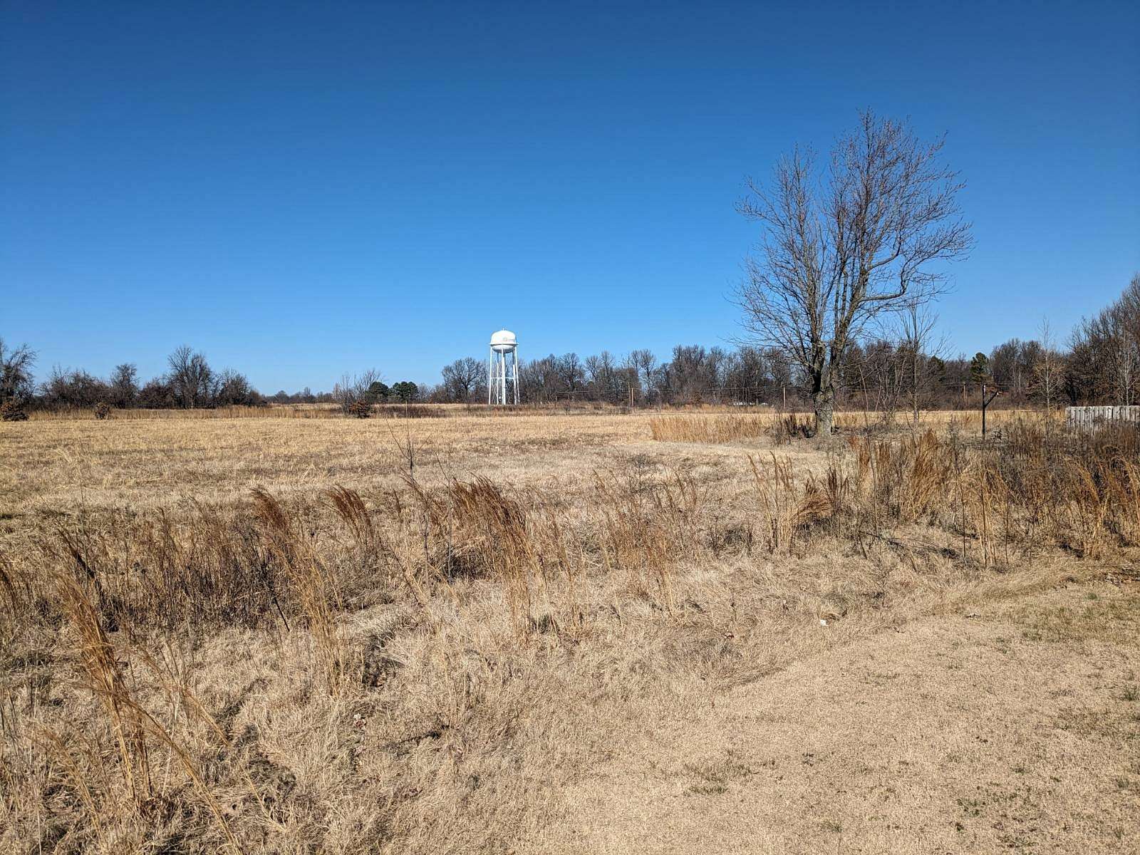 21 Acres of Agricultural Land for Sale in Campbell, Missouri