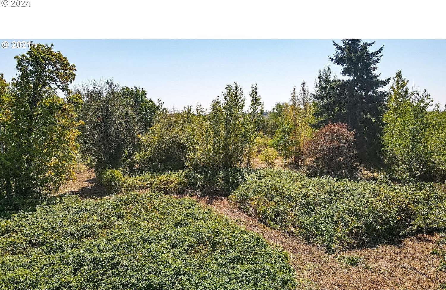 4.5 Acres of Mixed-Use Land for Sale in Ridgefield, Washington