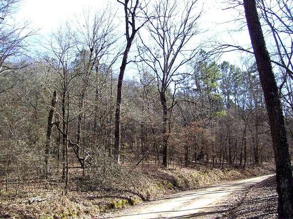 28 Acres of Recreational Land for Sale in De Queen, Arkansas