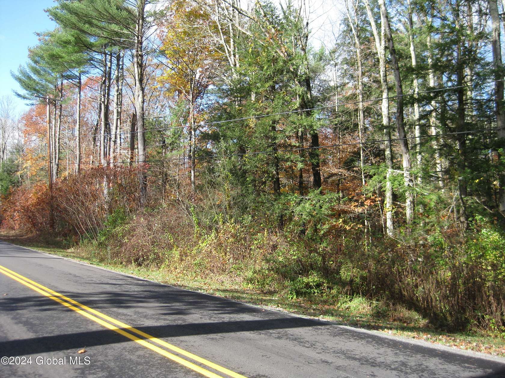 72.1 Acres of Land for Sale in Northumberland, New York