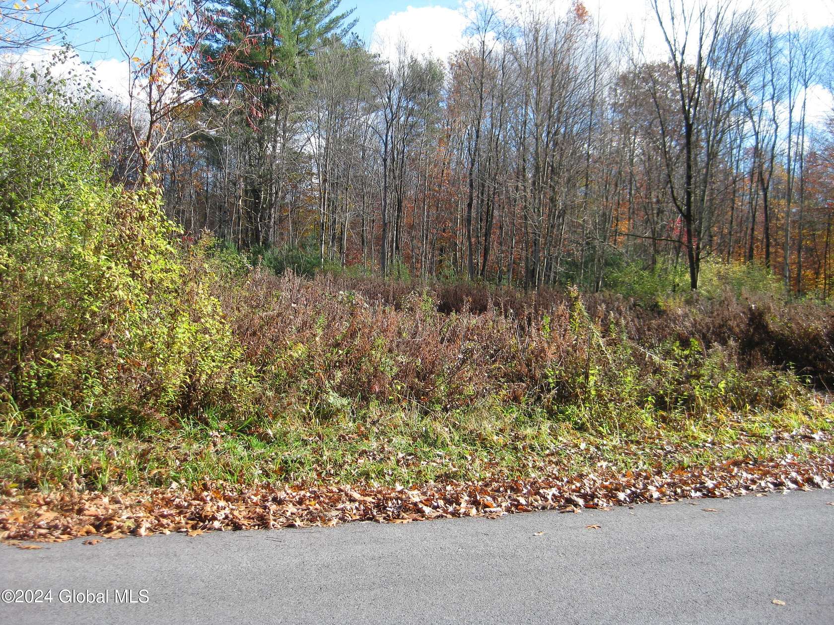43.5 Acres of Land for Sale in Northumberland, New York