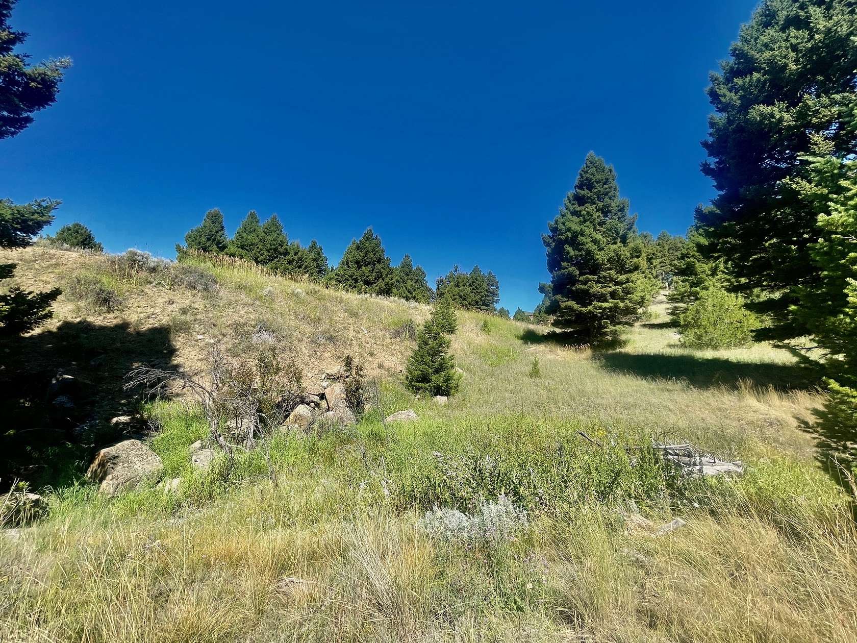 24.5 Acres of Recreational Land with Home for Sale in Boulder, Montana