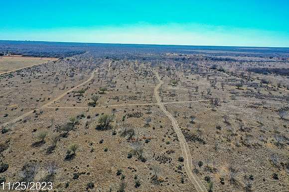 71.9 Acres of Recreational Land & Farm for Sale in Dilley, Texas