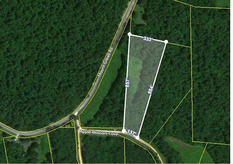 5 Acres of Residential Land for Sale in Cedar Grove, Tennessee