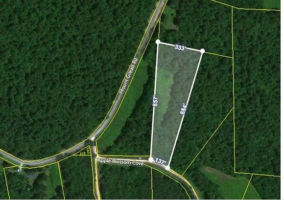5 Acres of Residential Land for Sale in Cedar Grove, Tennessee