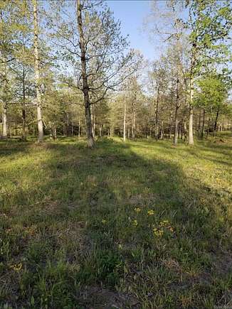 3.76 Acres of Residential Land for Sale in Sheridan, Arkansas