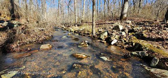 10 Acres of Recreational Land for Sale in Timbo, Arkansas