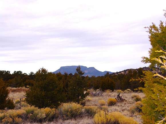 10 Acres of Land for Sale in Datil, New Mexico