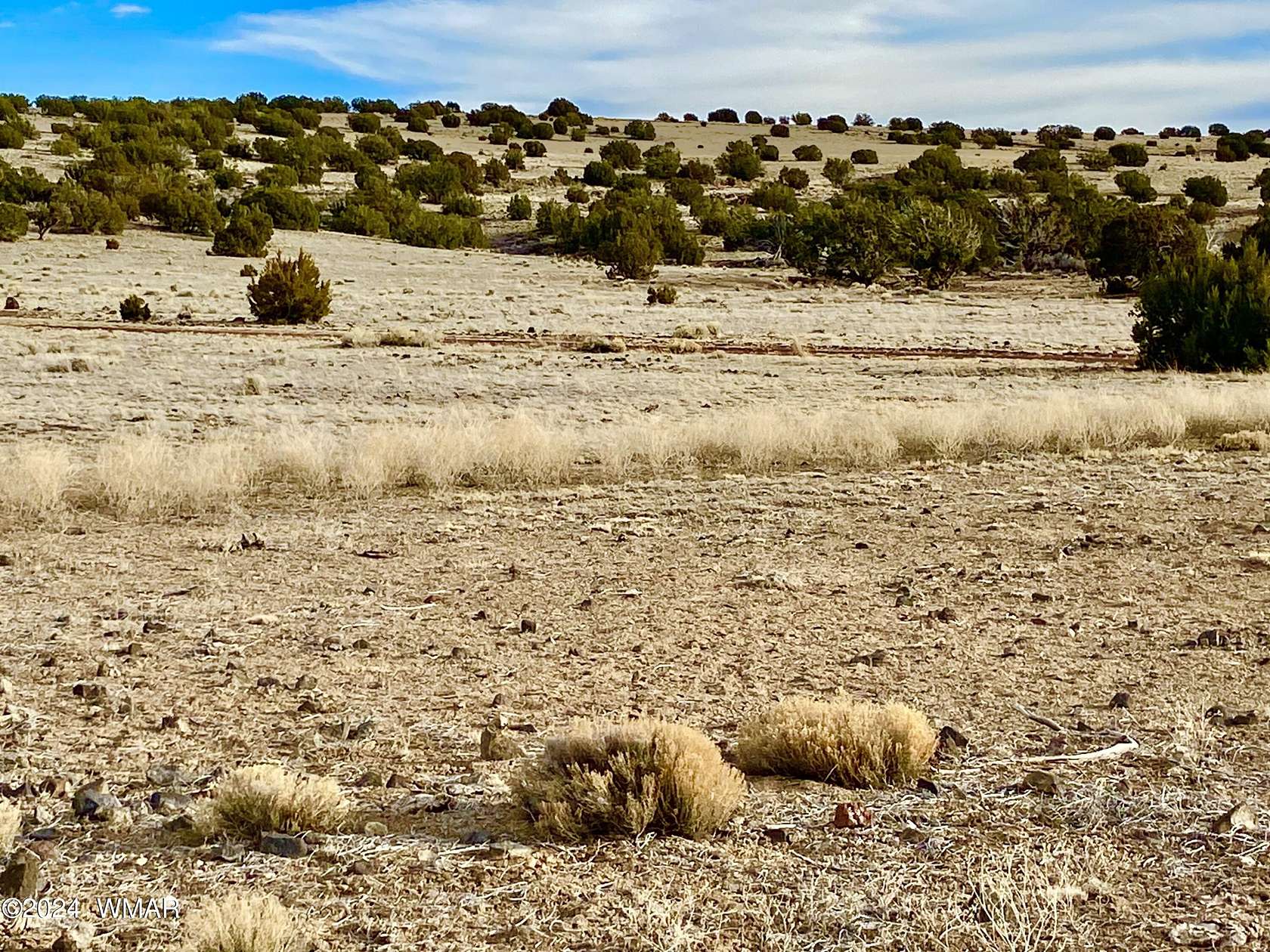 1.22 Acres of Residential Land for Sale in Concho, Arizona