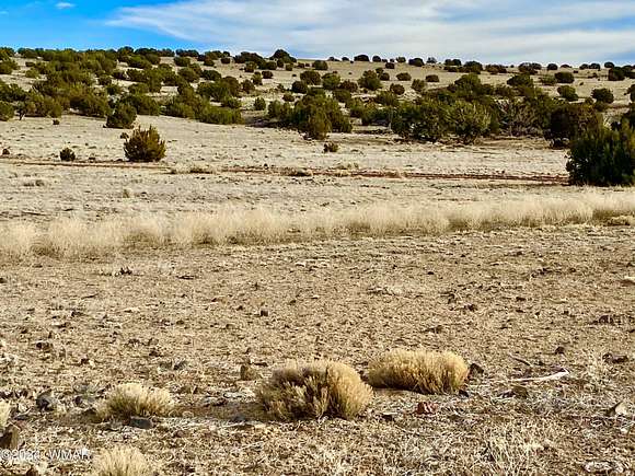 1.22 Acres of Residential Land for Sale in Concho, Arizona