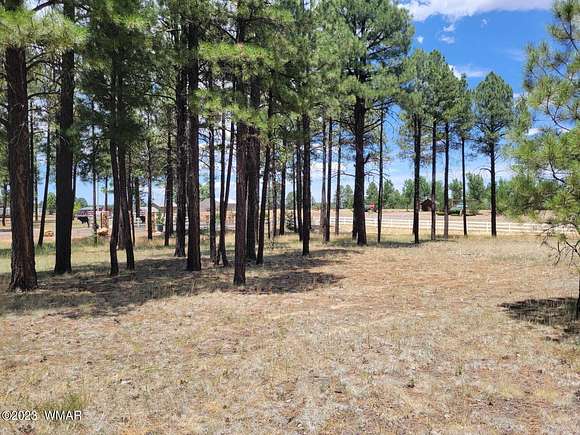 1 Acre of Residential Land for Sale in Overgaard, Arizona