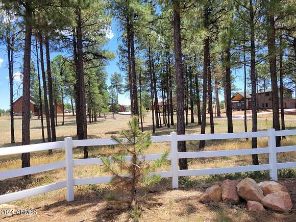 1.1 Acres of Residential Land for Sale in Overgaard, Arizona