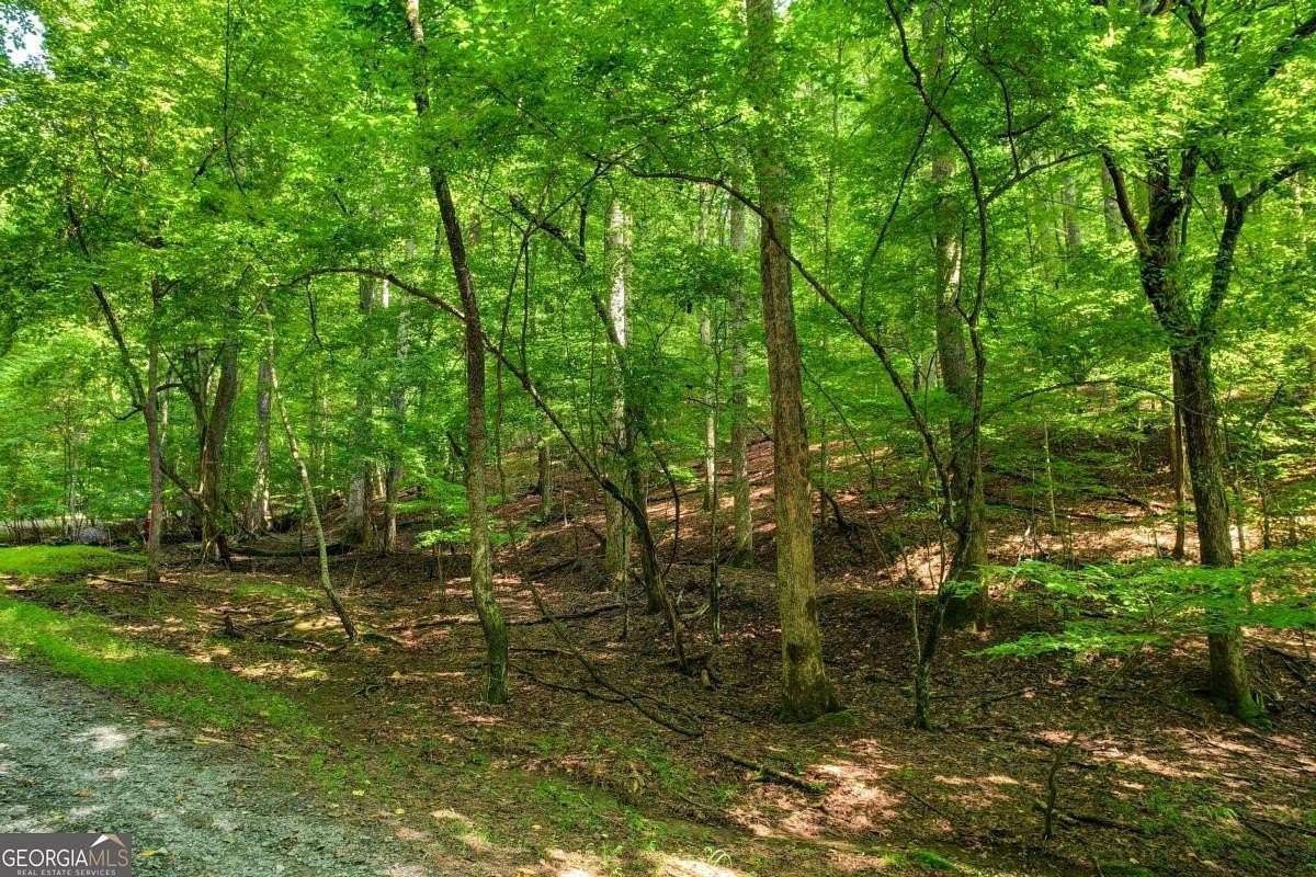 0.52 Acres of Land for Sale in Ellijay, Georgia