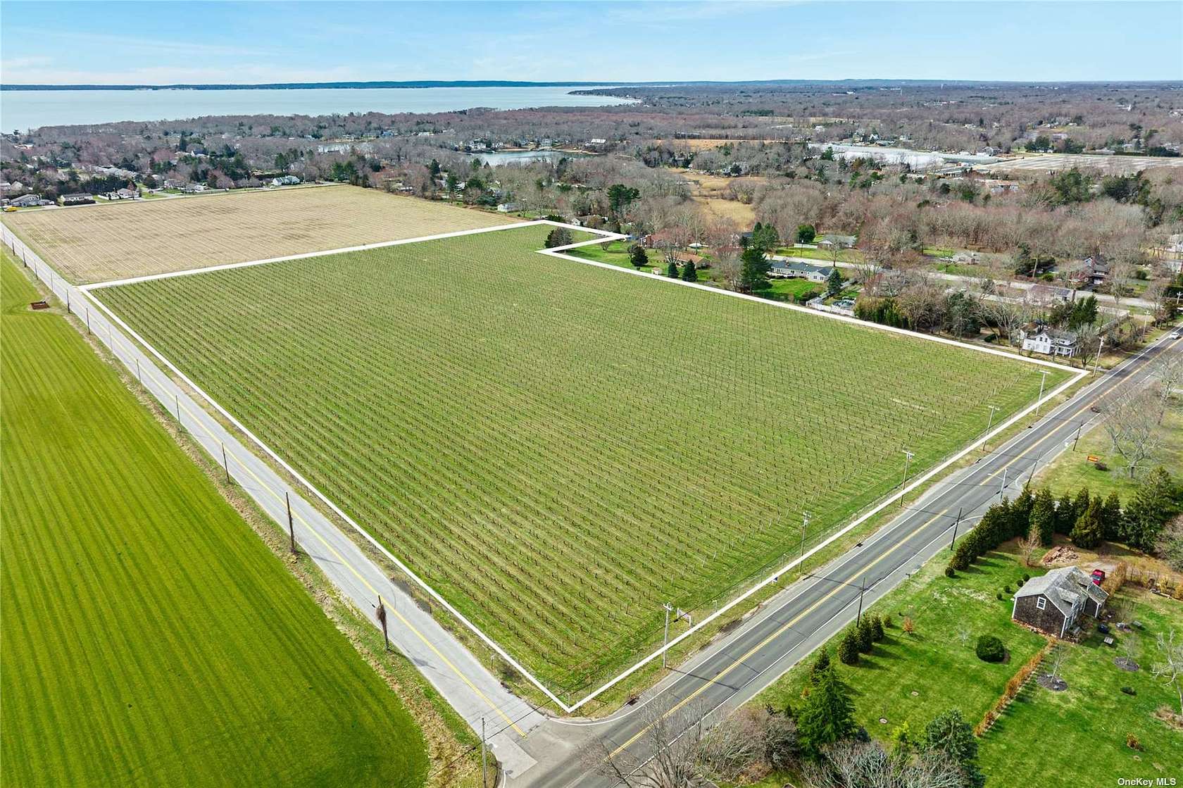 16.8 Acres of Land for Sale in Mattituck, New York