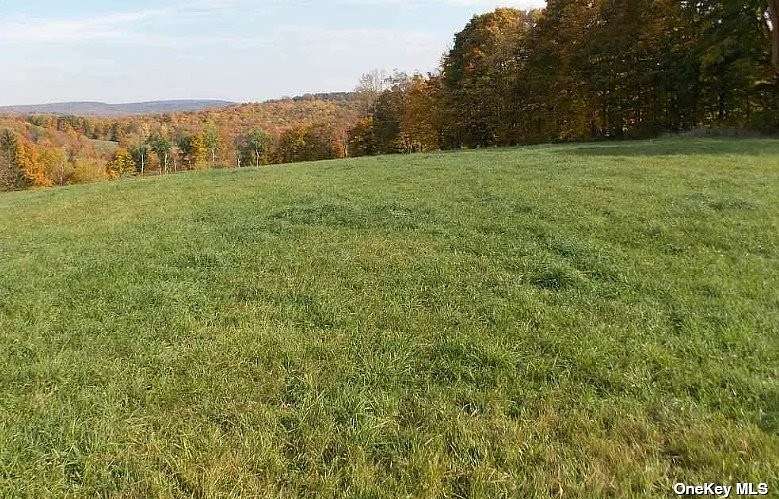 73.71 Acres of Agricultural Land for Sale in Youngsville, New York