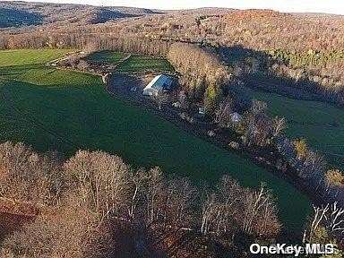 73.71 Acres of Agricultural Land for Sale in Youngsville, New York