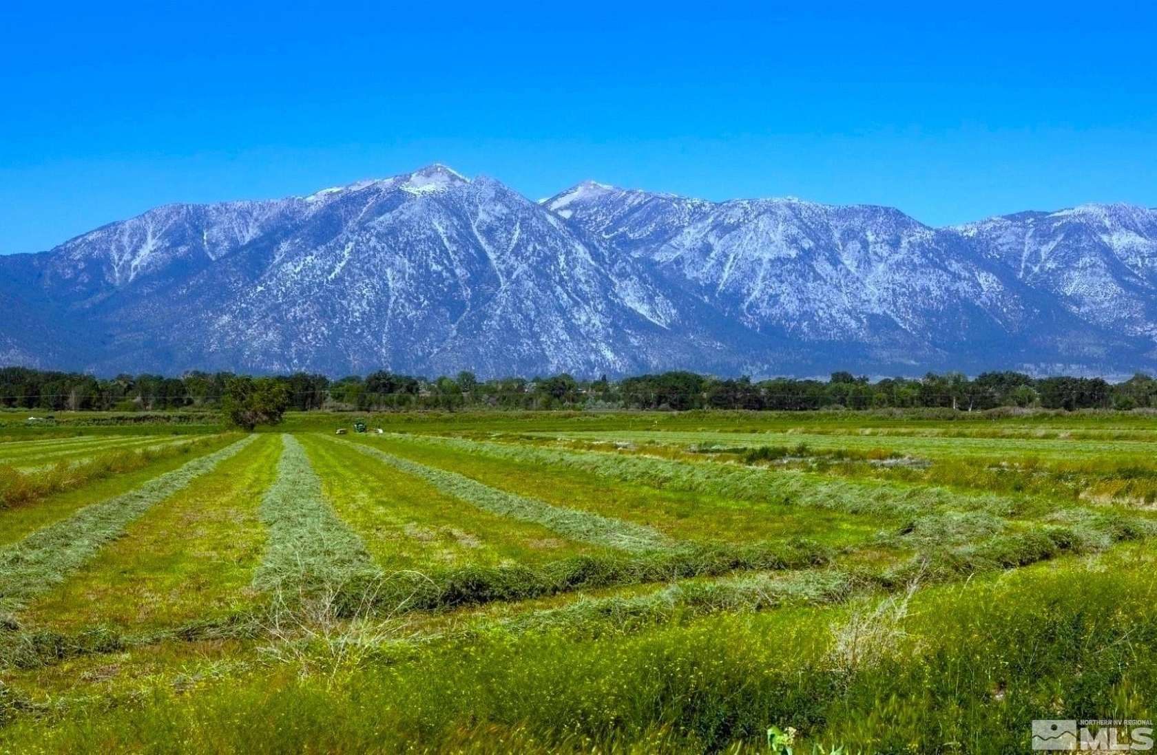 130 Acres of Land for Sale in Gardnerville, Nevada