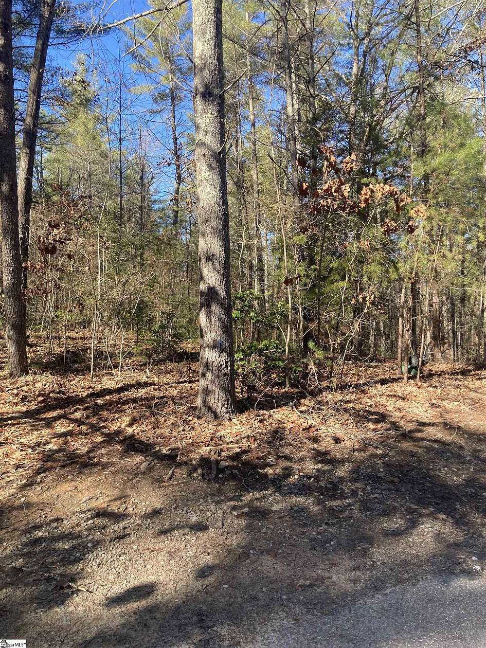 1.3 Acres of Residential Land for Sale in Sunset, South Carolina
