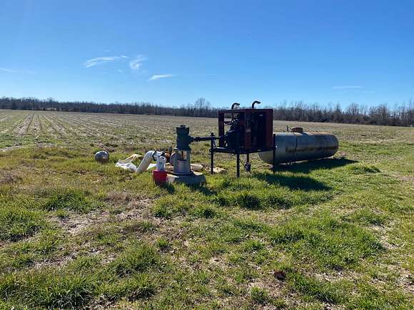 60.9 Acres of Recreational Land & Farm for Sale in Parkdale, Arkansas