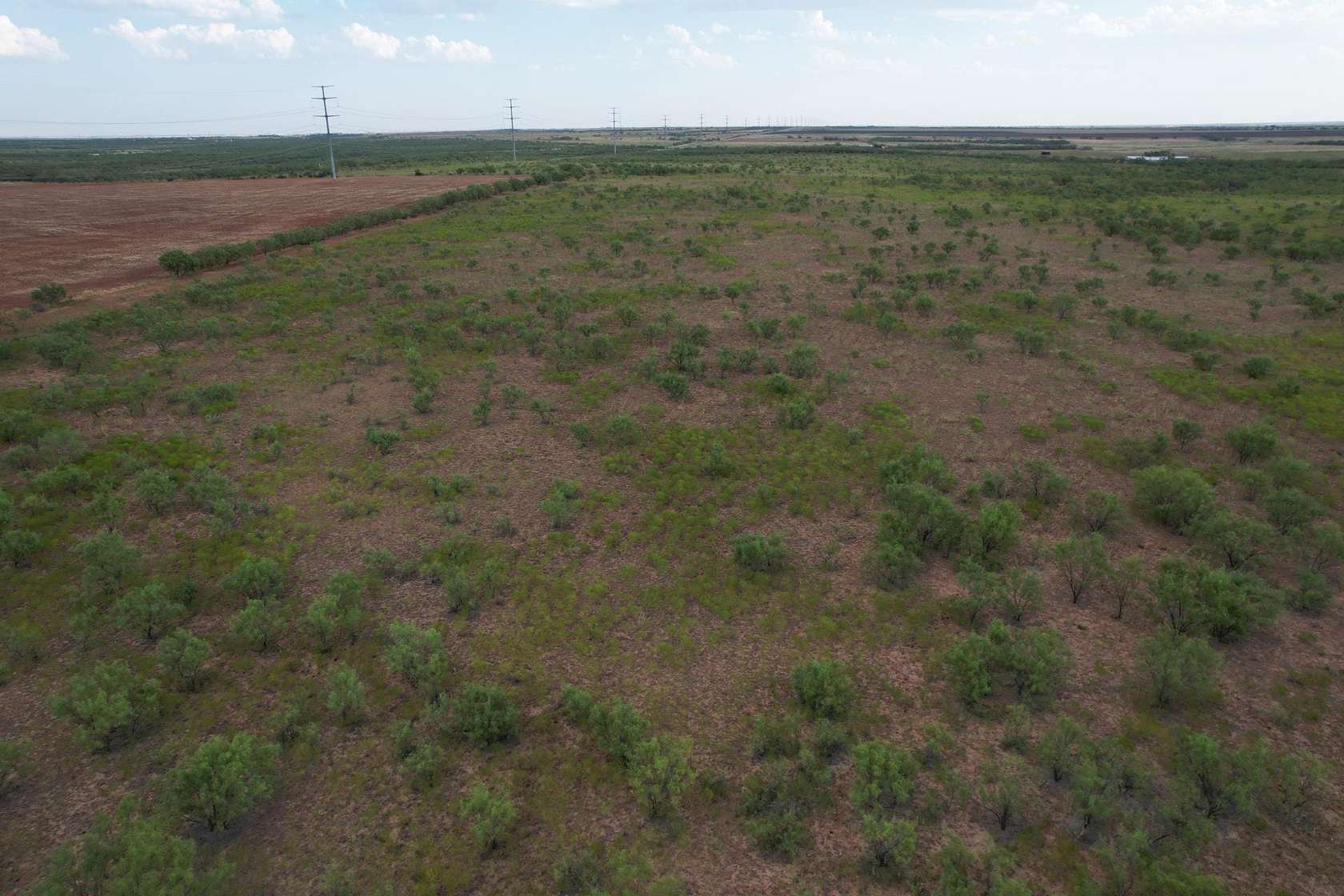 75 Acres of Recreational Land & Farm for Sale in Lueders, Texas
