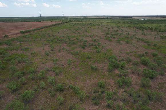 75 Acres of Recreational Land & Farm for Sale in Lueders, Texas