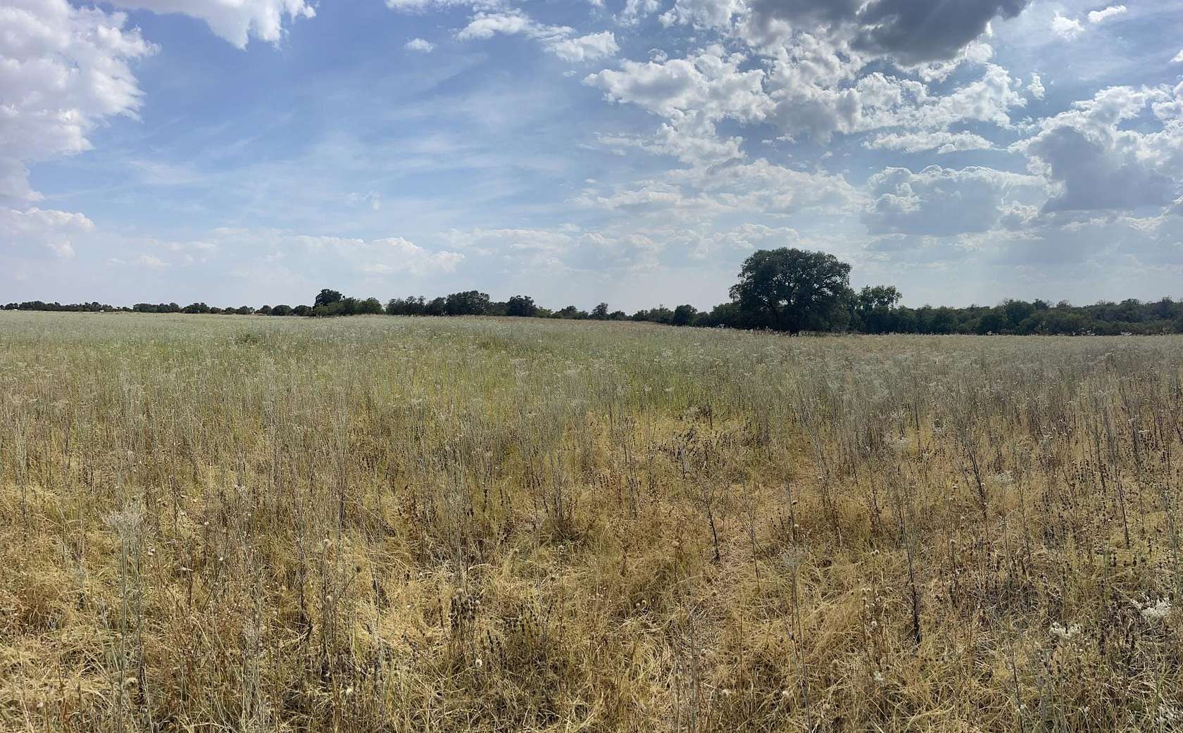4.3 Acres of Land for Sale in Anson, Texas