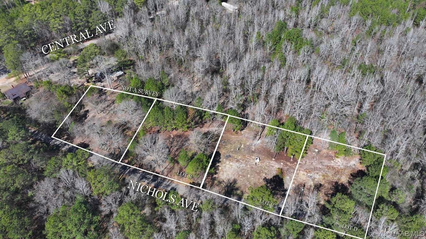 0.56 Acres of Residential Land for Sale in Eclectic, Alabama