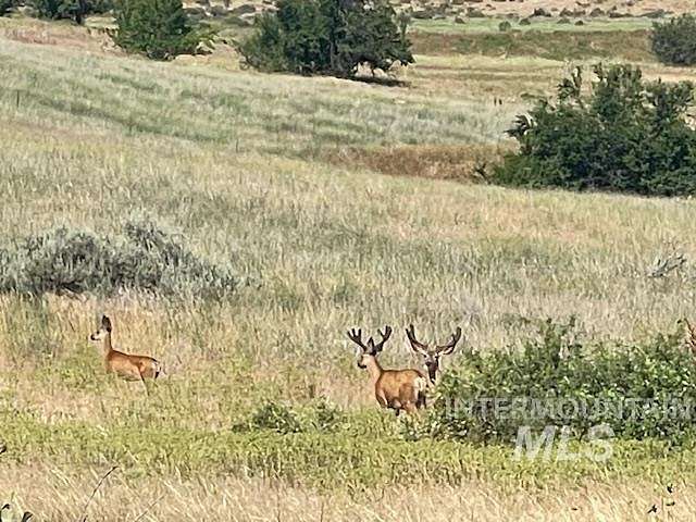 19.97 Acres of Recreational Land for Sale in Mesa, Idaho