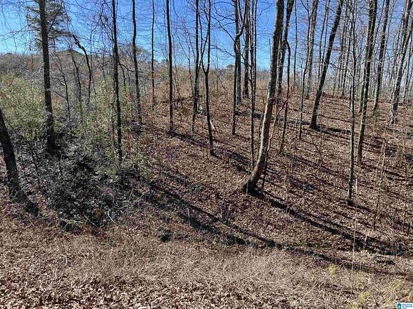 1.7 Acres of Residential Land for Sale in Birmingham, Alabama