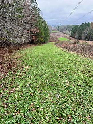 120 Acres of Recreational Land & Farm for Sale in Union Church, Mississippi