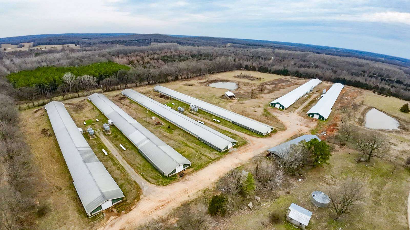 39 Acres of Agricultural Land with Home for Sale in Smithville, Arkansas