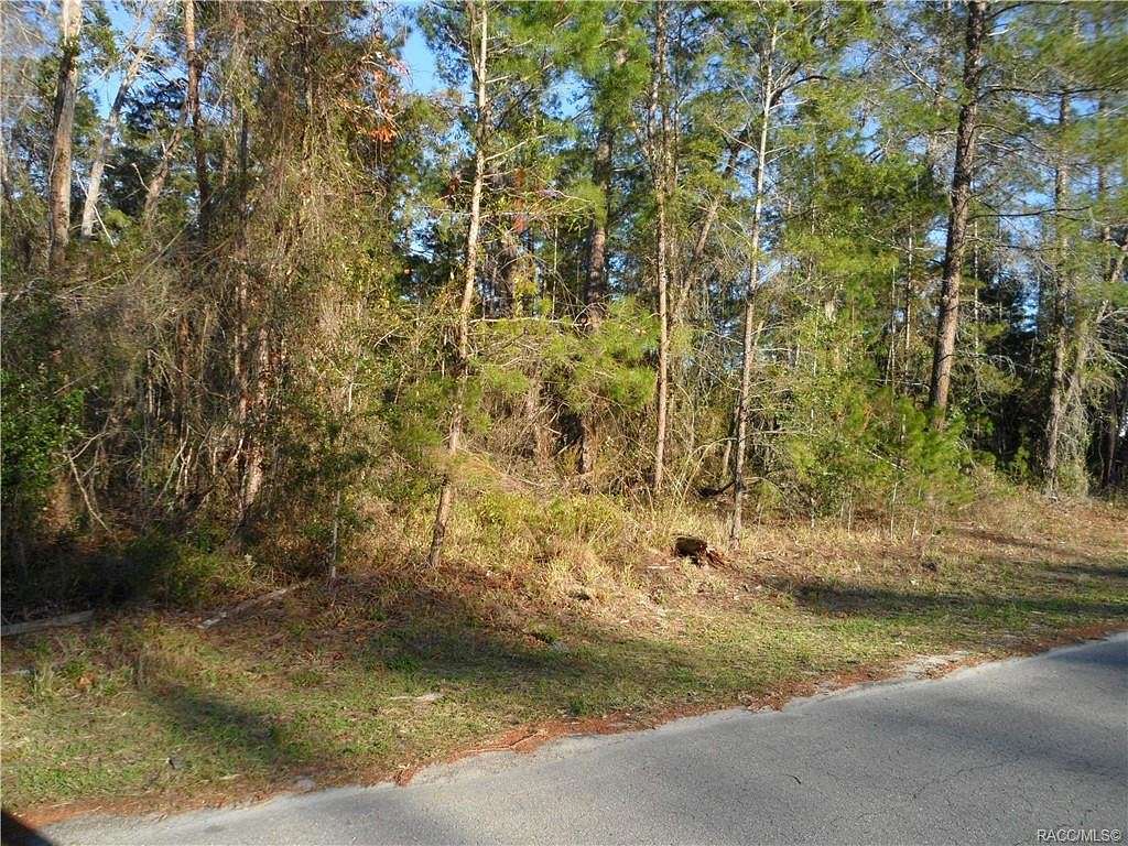 0.3 Acres of Residential Land for Sale in Homosassa, Florida