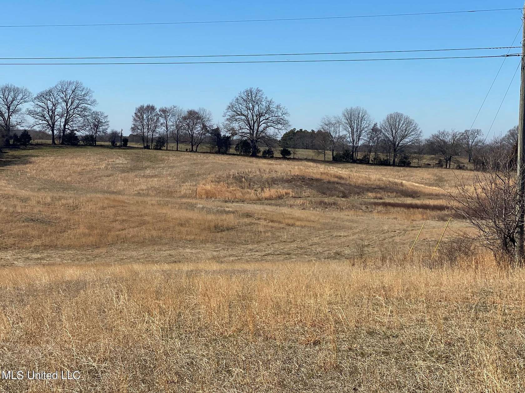 24.2 Acres of Agricultural Land for Sale in Senatobia, Mississippi