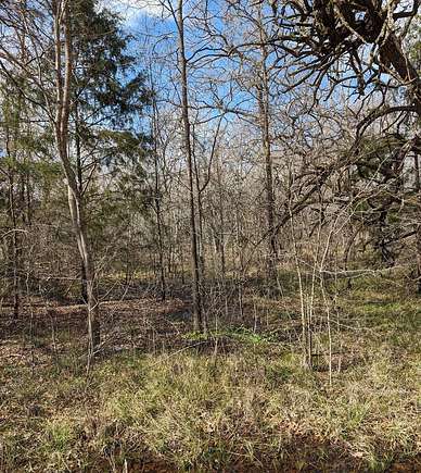 0.15 Acres of Residential Land for Sale in Trinidad, Texas